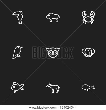 Set Of 9 Editable Animal Icons. Includes Symbols Such As Philomel, Crab, Predator Bird And More. Can Be Used For Web, Mobile, UI And Infographic Design.