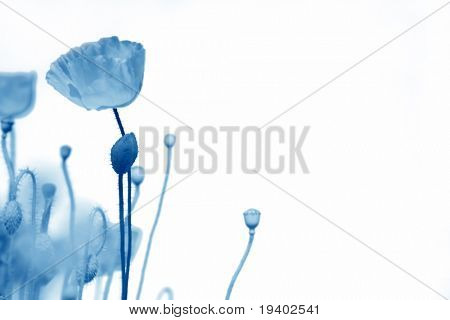 lente achtergrond in het blauw - Descriptie vervagen