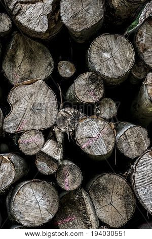 Abstract photo of a pile of natural wooden logs background dry chopped firewood logs ready for winter