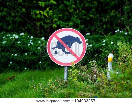 Sign and symbol No dog pooping sign in park