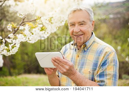 Senior man is checking tree blossom in his garden.
