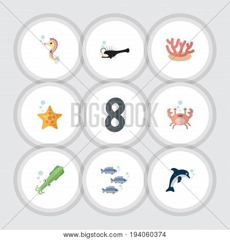 Flat Icon Nature Set Of Algae, Hippocampus, Fish And Other Vector Objects. Also Includes Fish, Star, Squid Elements.