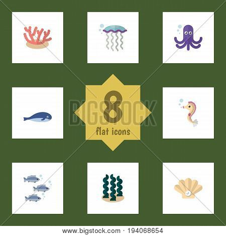 Flat Icon Sea Set Of Alga, Tuna, Conch And Other Vector Objects. Also Includes Hippocampus, Squid, Whale Elements.