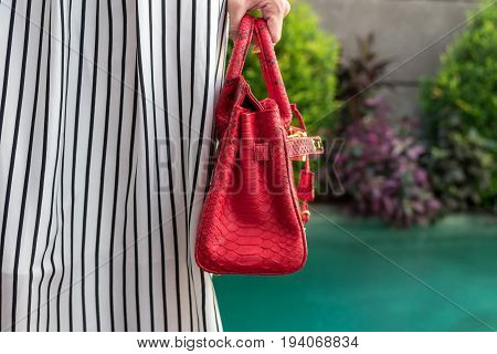 Fashionable woman holding luxury snakeskin python bag. Elegant outfit. Close up of purse in hands of stylish lady. Model posing near the swimming pool.