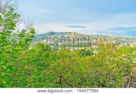 The Fruit Gardens Of Kldisubani District In Tbilisi