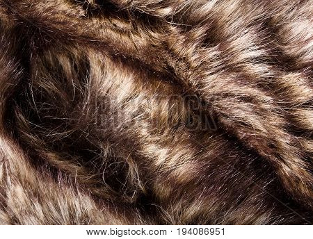 Texture Of Fur. Red Brown Grey Wolf, Fox, Bear Fur Natural, Animal Wildlife Concept And Style For Ba