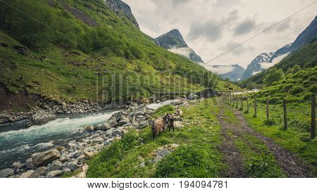 Scenic view of the fjord, photo taken from the Undredal land