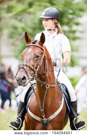 Young rider girl on bay horse after equestrian competition