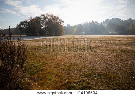 Burnham Beeches, UK - 7 November 2016: Frosty Autumn Landscape At Burnham Beeches In Buckinghamshire