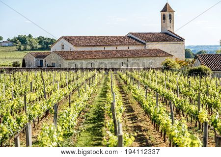 Beautiful landscape view on the vineyards in Saint Emilion village near Bordeaux in France