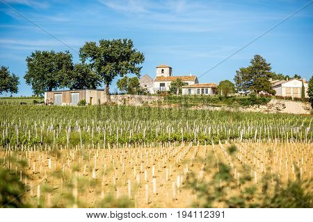Beautiful landscape view on the vineyards in Saint Emilion village near Bordeaux in France