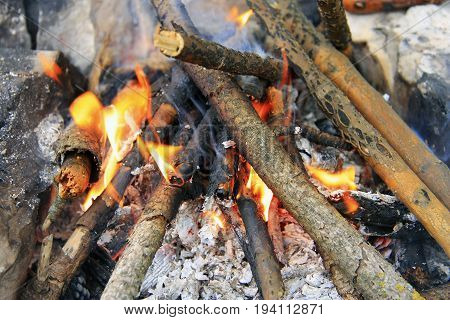 Bonfire in the forest ready for barbeque
