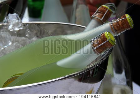 Bottles with wine in cool box / Sparkling wine in the cooler