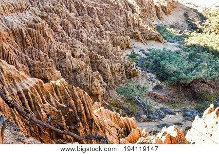 Closeup pattern of torrey pine eroded sandstone cliffs on coast in La Jolla by San Diego