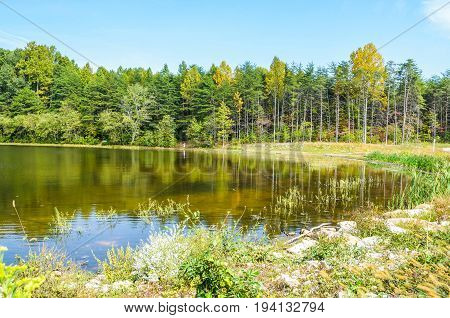 Burke Lake landscape in Virginia with water during summer in peaceful landscape