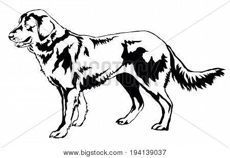 Decorative portrait of standing in profile dog shepherd vector isolated illustration in black color on white background