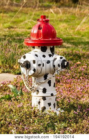 White fire hydrant with black spots on it with a red top