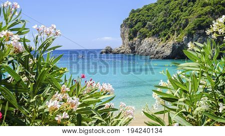 View on the bay and beach Paleokastritsa with flowers and blue sea water on the Island Corfu Greece.