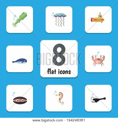 Flat Icon Nature Set Of Scallop, Cachalot, Hippocampus And Other Vector Objects. Also Includes Whale, Cachalot, Melanocetus Elements.