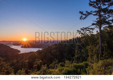 Sunrise Over the Mountains beside a towering Pine