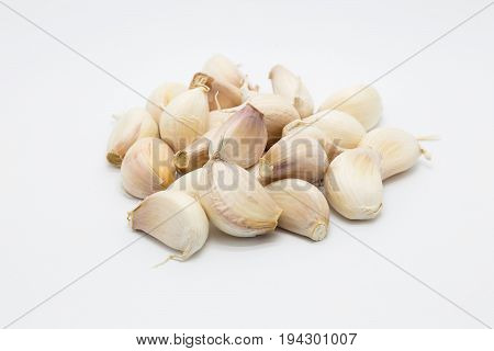 Garlic blub on white background selectived focused isolated raw food background