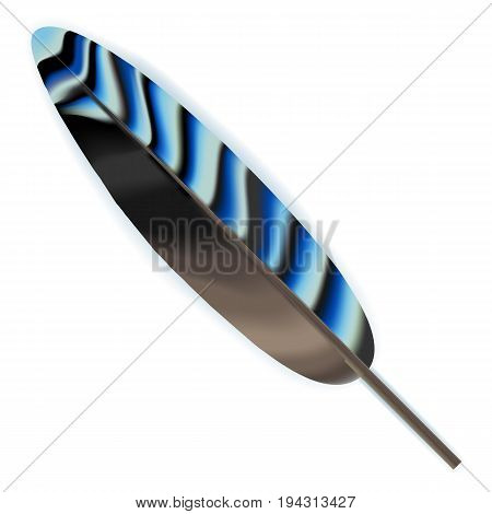 Beautiful vector illustration. Bright spotted bird feather