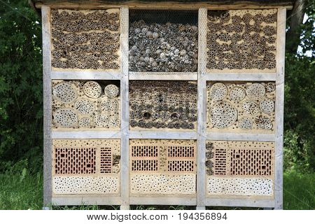 Insect house in details