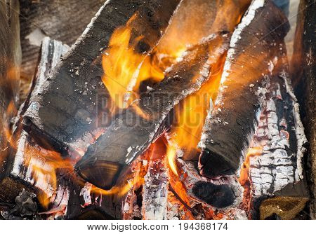 Fire flames background. Firewood is burning in the grill in the open air.