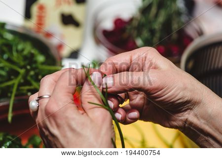Horizontal photo of aged female hands with golden ring holding fresh green Arugula with vegetable table in background.
