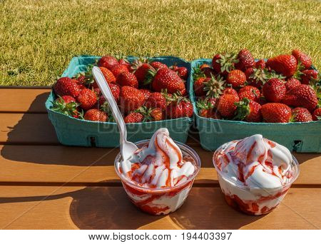 strawberries and vanilla ice frozen joghurt cream refreshing cold summer dessert in a takeaway tub on a wooden table