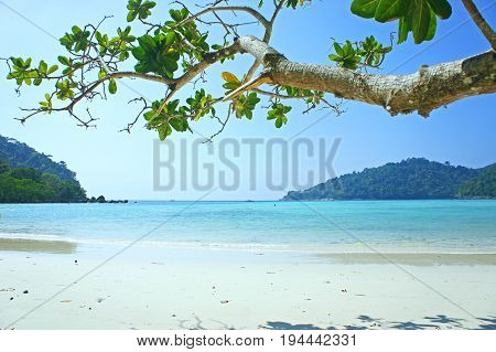 sea beach blue sky at surin island Thailand