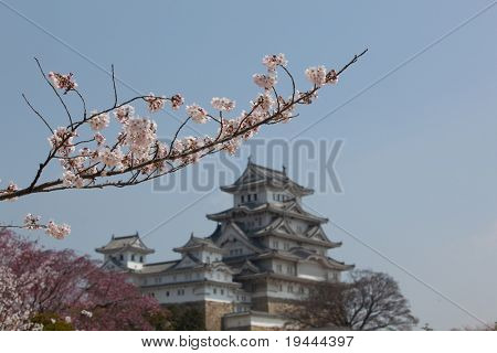 日本の城花見を