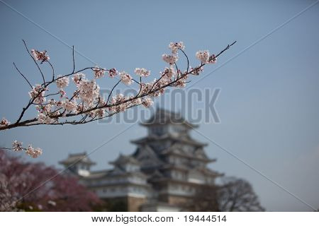 日本の城花見を