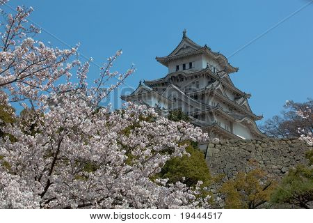 日本の城花見を