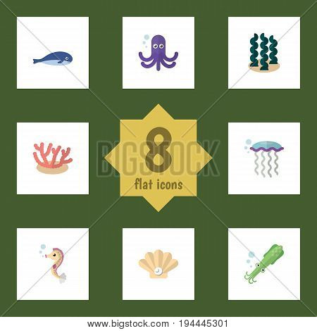 Flat Icon Sea Set Of Alga, Conch, Tentacle And Other Vector Objects. Also Includes Coral, Sea, Whale Elements.