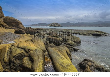 Rocks on the coast covered by marine flora