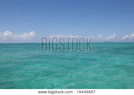 Zanzibar-bearch