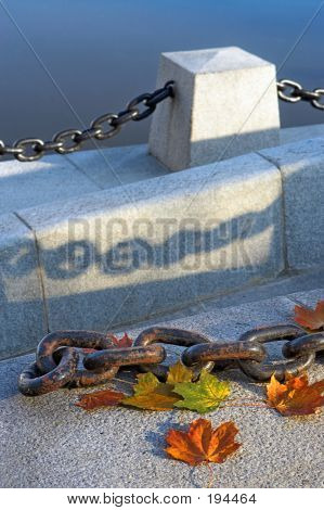Bellezza di sbiadisc autunno