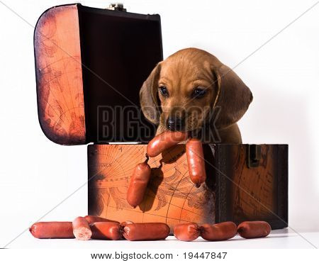 ไส้กรอกสิ้นสุดสนาม dachshund