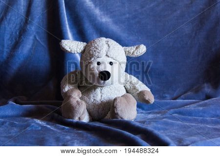 Photo of a white puppet sheep on a blue background
