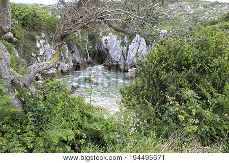 Natural Pool Surrounded Of Bushes In Gulpiyuri Beach, Spain