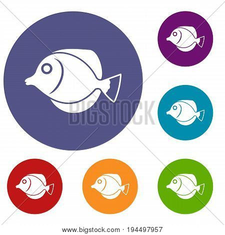 Tang fish, Zebrasoma flavescens icons set in flat circle reb, blue and green color for web