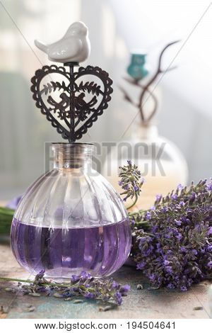 Nature cosmetics handmade preparation of essential oils perfume creams soaps from fresh and dried lavender flowers French artisanal boutique home style
