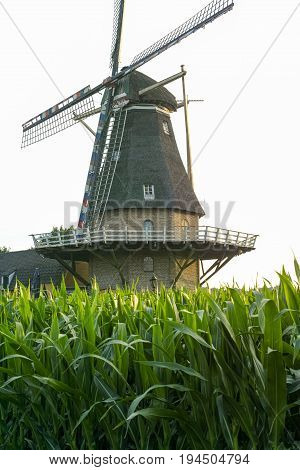 Dutch windmill small village in North Brabant mill and corn fields on sunset in summer