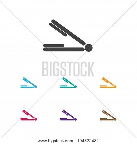 Vector Illustration Of Tonsorial Artist Symbol On Hair Straightener Icon. Premium Quality Isolated Take The Hair Dryer Element In Trendy Flat Style.