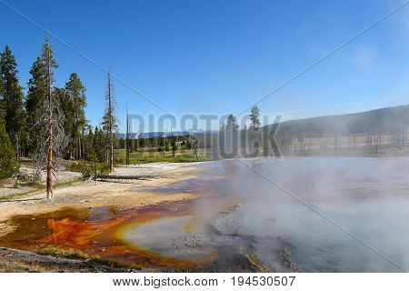 Firehole Spring, in the Midway Geyser Basin area of Yellowstone National Park.