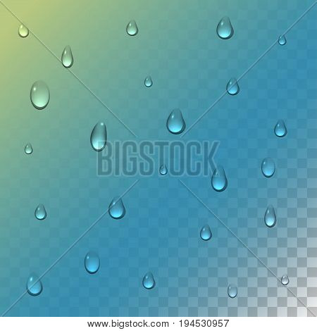 Realistic rain drops on transparent background. Clean water drop condensation. Vector illustration. Eps 10.