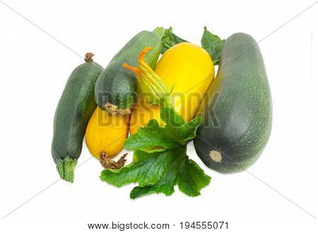 Pile of the fresh dark green zucchini different sizes and yellow vegetable marrows with leaves and flower on a light background
