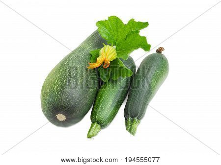 Three fresh dark green zucchini different sizes with leaf and flower on a light background
