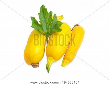 Three fresh yellow vegetable marrows with leaf on a light background
